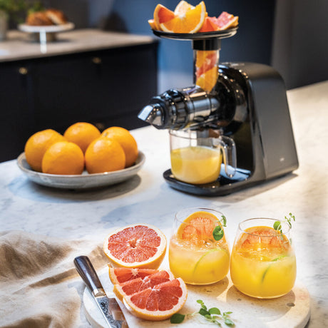 JUICEMASTER FRESH SLOW JUICER